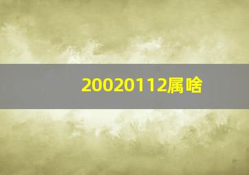 20020112属啥