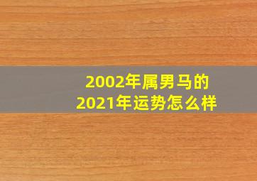 2002年属男马的2021年运势怎么样