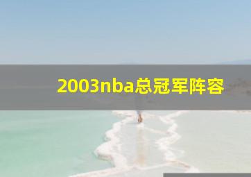 2003nba总冠军阵容