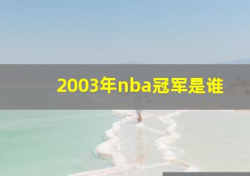 2003年nba冠军是谁