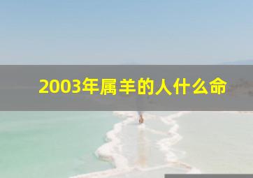 2003年属羊的人什么命