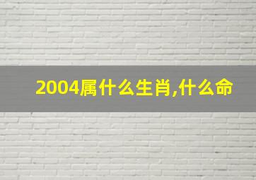 2004属什么生肖,什么命