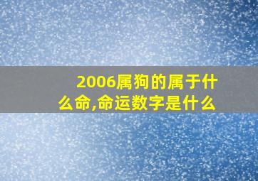 2006属狗的属于什么命,命运数字是什么