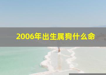 2006年出生属狗什么命