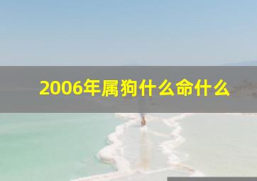 2006年属狗什么命什么