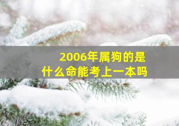 2006年属狗的是什么命能考上一本吗