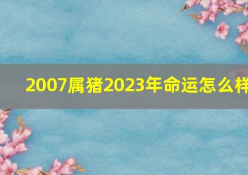 2007属猪2023年命运怎么样