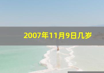 2007年11月9日几岁