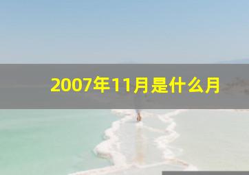 2007年11月是什么月