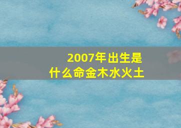 2007年出生是什么命金木水火土