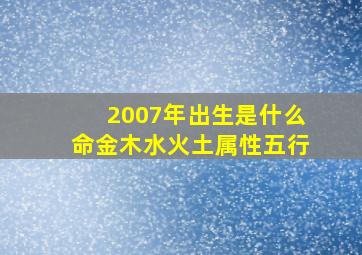 2007年出生是什么命金木水火土属性五行