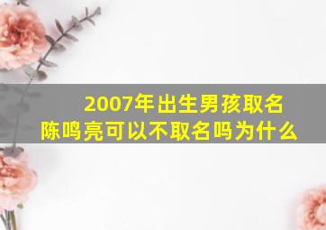 2007年出生男孩取名陈鸣亮可以不取名吗为什么