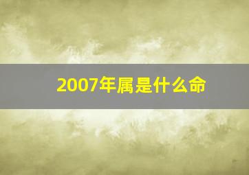 2007年属是什么命