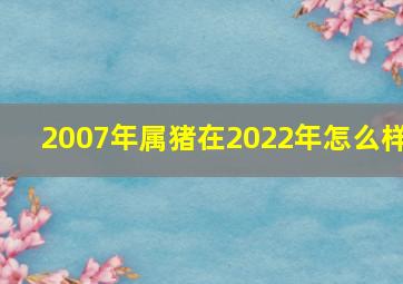 2007年属猪在2022年怎么样