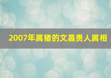 2007年属猪的文昌贵人属相