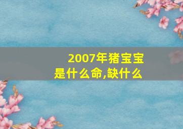 2007年猪宝宝是什么命,缺什么