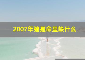 2007年猪是命里缺什么