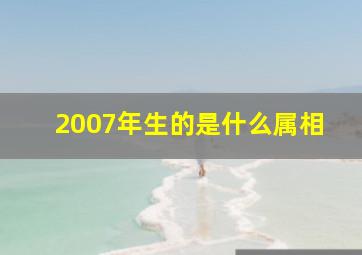 2007年生的是什么属相