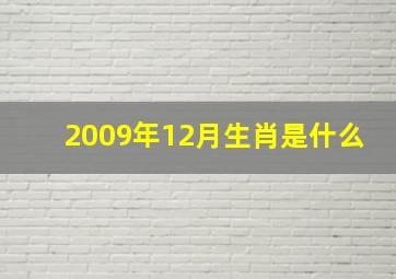 2009年12月生肖是什么