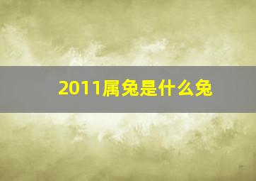 2011属兔是什么兔