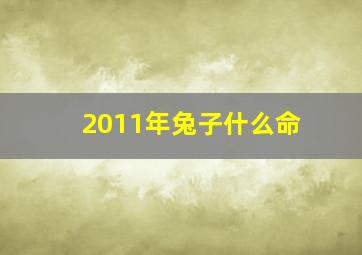 2011年兔子什么命