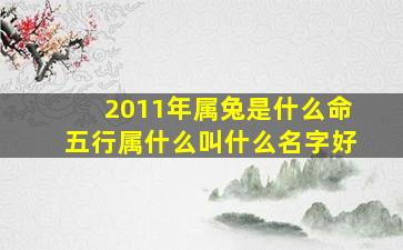 2011年属兔是什么命五行属什么叫什么名字好