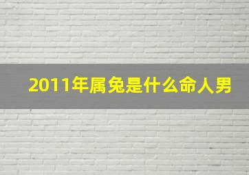 2011年属兔是什么命人男