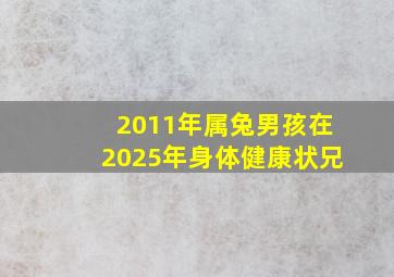 2011年属兔男孩在2025年身体健康状兄