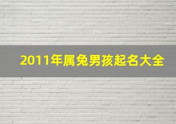 2011年属兔男孩起名大全