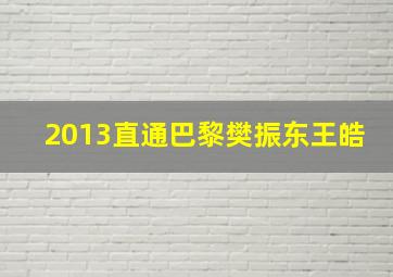 2013直通巴黎樊振东王皓