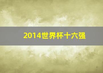 2014世界杯十六强