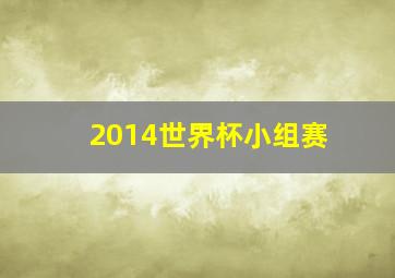 2014世界杯小组赛