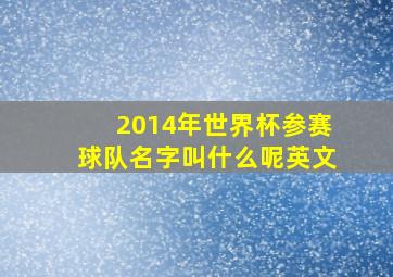 2014年世界杯参赛球队名字叫什么呢英文