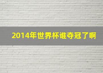 2014年世界杯谁夺冠了啊