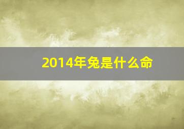 2014年兔是什么命