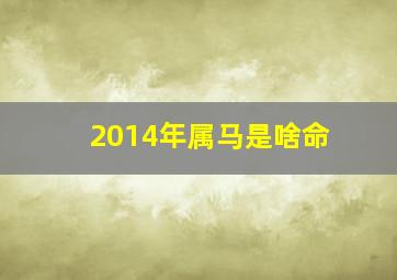 2014年属马是啥命