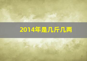 2014年是几斤几两