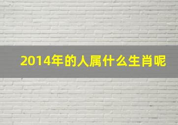 2014年的人属什么生肖呢