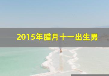 2015年腊月十一出生男