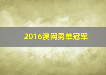 2016澳网男单冠军