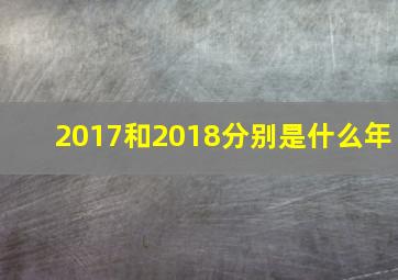 2017和2018分别是什么年