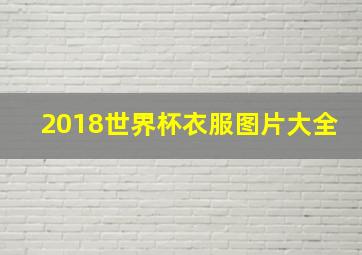 2018世界杯衣服图片大全