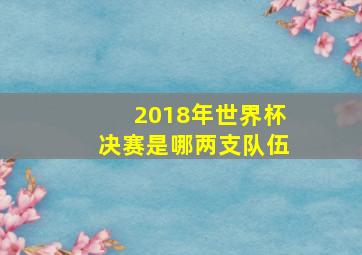 2018年世界杯决赛是哪两支队伍