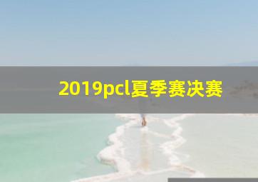 2019pcl夏季赛决赛