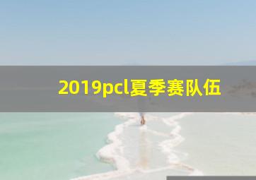 2019pcl夏季赛队伍