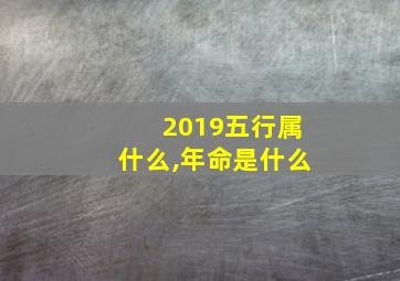 2019五行属什么,年命是什么