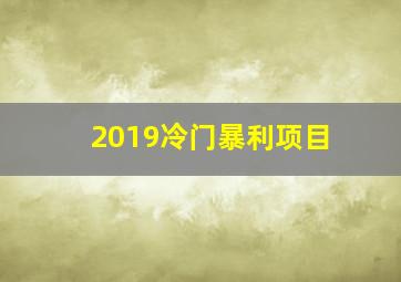 2019冷门暴利项目