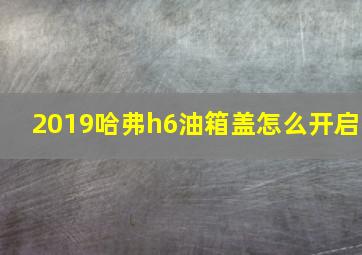 2019哈弗h6油箱盖怎么开启