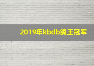 2019年kbdb鸽王冠军