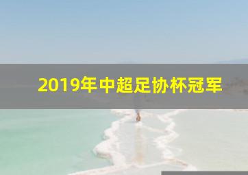 2019年中超足协杯冠军